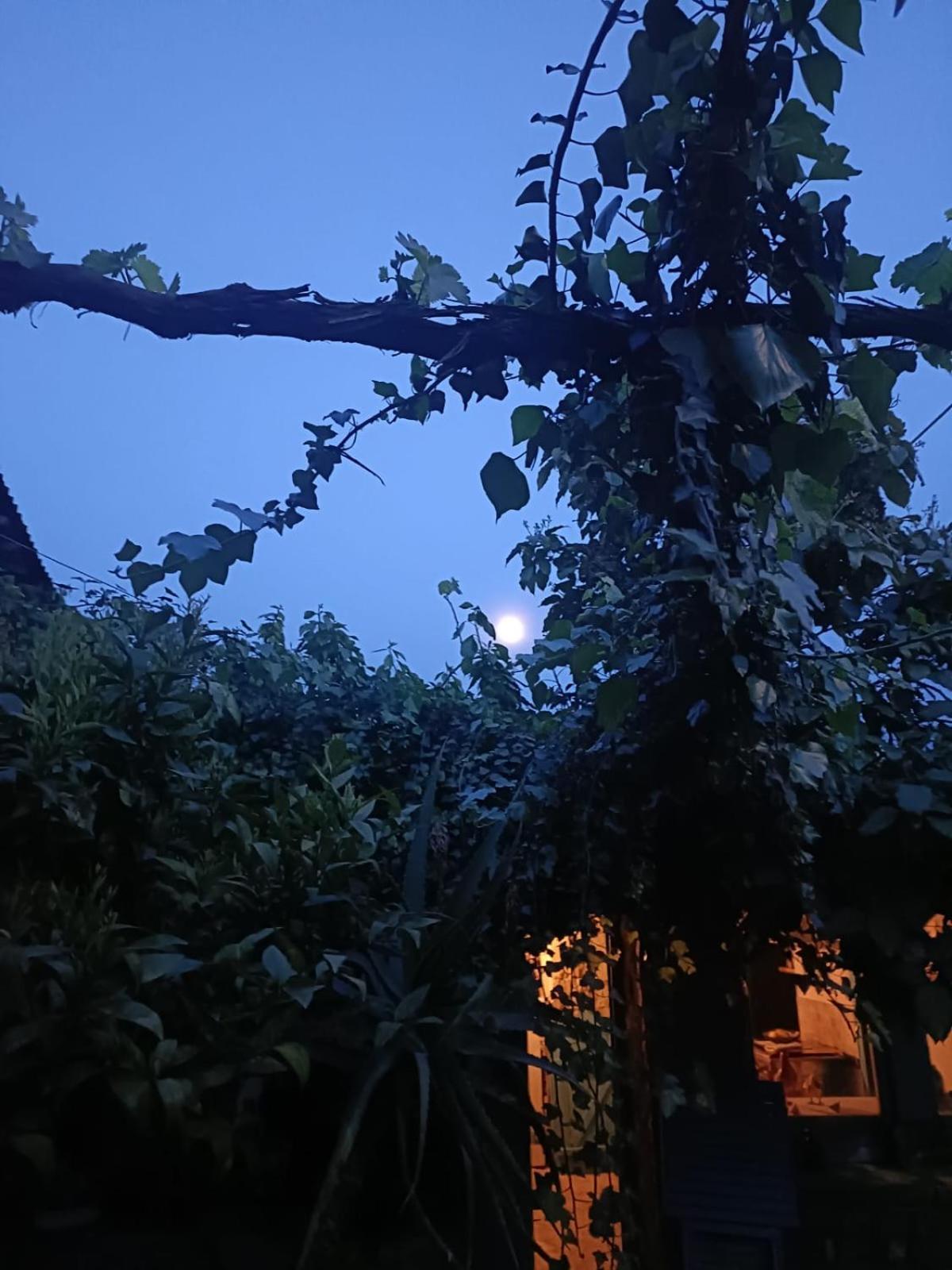Andrebyke Villa Gergei Luaran gambar